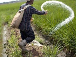 Ứng dụng phổ biến nhất của KCl là sản xuất phân bón, đặc biệt là phân kali