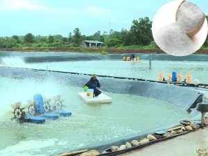 Kali clorua trong nuôi trồng thủy sản