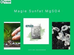 Magie Sunfat MgSO4