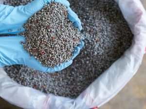 Ứng dụng H2SO4 trong sản xuất phân bón