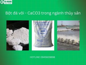 Bột đá vôi - CaCO3 trong ngành thủy sản