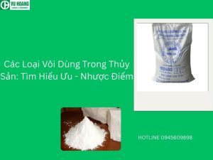 Các Loại Vôi Dùng Trong Thủy Sản: Tìm Hiểu Ưu - Nhược Điểm