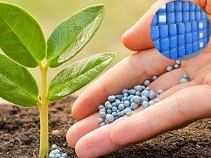 H2SO4 ứng dụng sản xuất phân bón