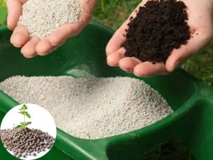 Ứng dụng H2SO4 trong sản xuất phân bón