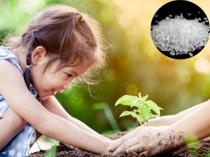 MgSO4 là một chất giàu dinh dưỡng, có khả năng làm lá cây xanh tươi
