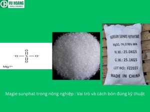 Magie sunphat trong nông nghiệp : Vai trò và cách bón đúng kỹ thuật