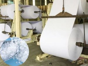 Công nghiệp Giấy và Bột giấy