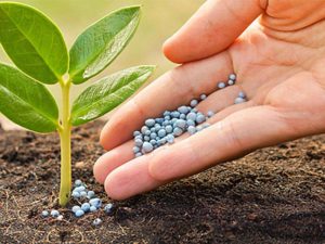 Axit H2SO4 là hóa chất không thể thiếu trong ngành phân bón