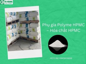 Phụ gia Polyme HPMC – Hóa chất HPMC