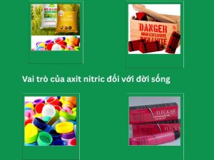 Vai trò của axit nitric đối với đời sống