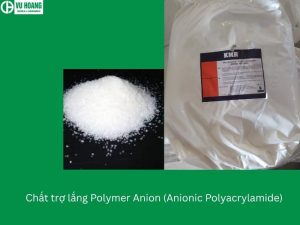 Chất trợ lắng Polymer Anion (Anionic Polyacrylamide) 