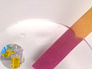 Quỳ tím chuyển sang màu đỏ