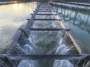 Ứng dụng quan trọng của NaOH là trong xử lý nước thải