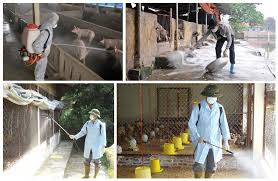 Hóa chất xử lý chuồng trại