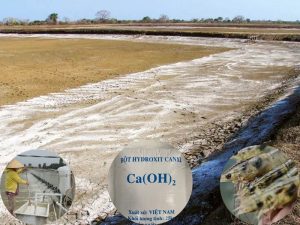Ca(OH)2 ứng dụng trong nuôi tôm