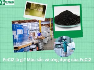 FeCl2 là gì? Màu sắc và ứng dụng của FeCl2