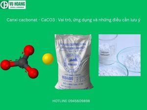 Canxi cacbonat - CaCO3 : Vai trò, ứng dụng và những điều cần lưu ý