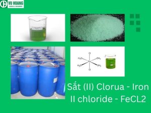 Sắt (II) Clorua - Iron II chloride - FeCL2