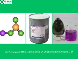 Kali Permanganat (KMnO4): CÔNG DỤNG VÀ ỨNG DỤNG TRONG NUÔI TÔM CÁ