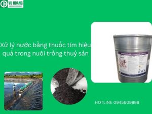 Xử lý nước bằng thuốc tím hiệu quả trong nuôi trồng thuỷ sản