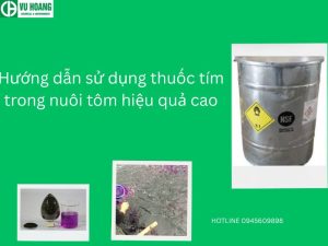 Hướng dẫn sử dụng thuốc tím trong nuôi tôm hiệu quả cao