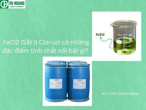 FeCl2 (Sắt II Clorua) có những đặc điểm tính chất nổi bật gì?