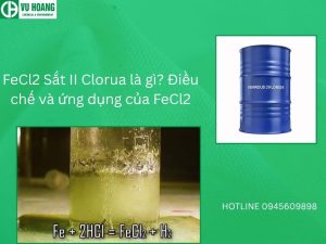 FeCl2 Sắt II Clorua là gì? Điều chế và ứng dụng của FeCl2