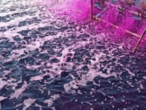 Ứng dụng phổ biến của thuốc tím Trung Quốc tại Việt Nam