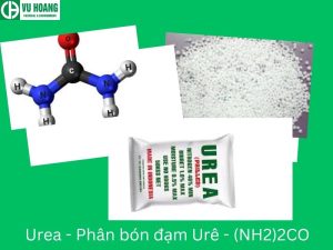 Urea - Phân bón đạm Urê - (NH2)2CO
