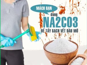 CÔNG DỤNG CỦA NA2CO3 (NATRI CACBONAT) TRONG CÁC CHẤT TẨY RỬA