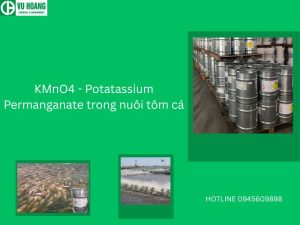 KMnO4 - Potatassium Permanganate trong nuôi tôm cá