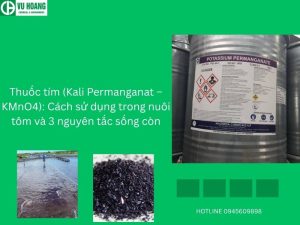 Thuốc tím (Kali Permanganat – KMnO4): Cách sử dụng trong nuôi tôm và 3 nguyên tắc sống còn