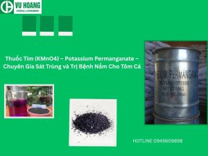 Thuốc Tím (KMnO4) – Potassium Permanganate – Chuyên Gia Sát Trùng và Trị Bệnh Nấm Cho Tôm Cá