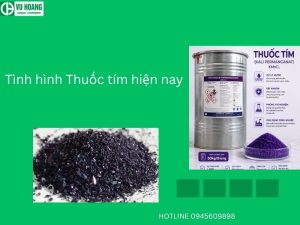 Tình hình Thuốc tím hiện nay