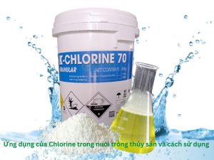 Ứng dụng của Chlorine trong nuôi trồng thủy sản và cách sử dụng
